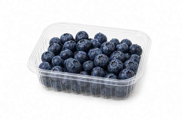 Bio Heidelbeeren 125g