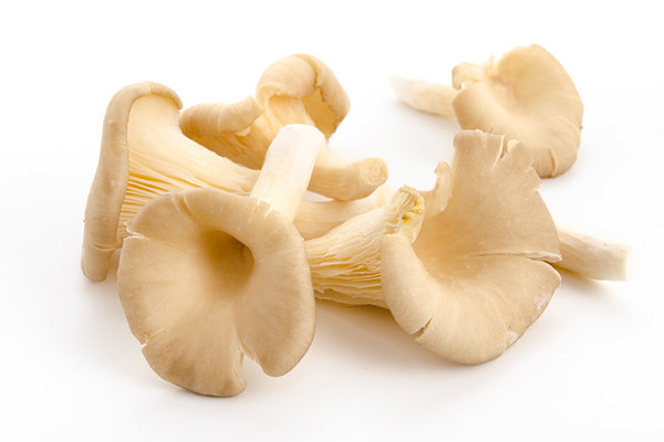 Austernpilze 200g