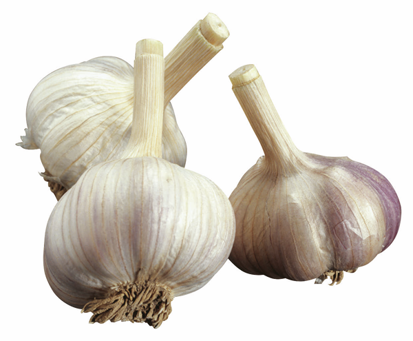 Bio Knoblauch 100g
