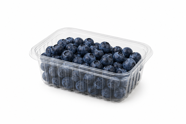 Bio Heidelbeeren 125g
