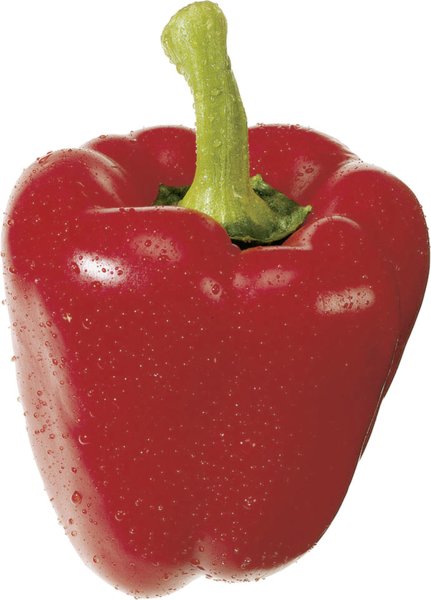 Bio Paprika rot 500g