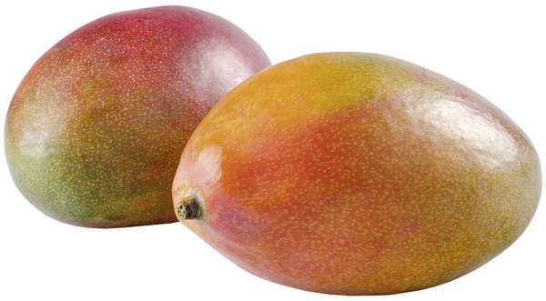 Bio Mango