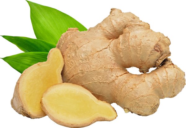 Bio Ingwer 200g