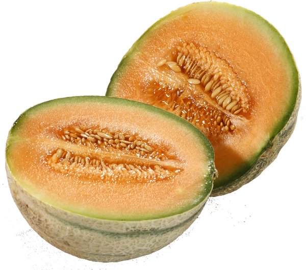 Cantaloupe Melone 1 Stück