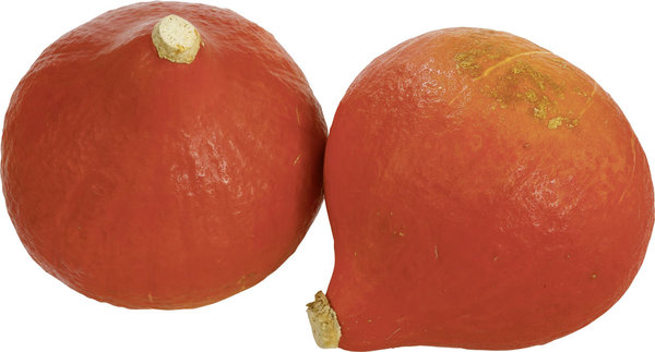 Bio Hokkaido Kürbis