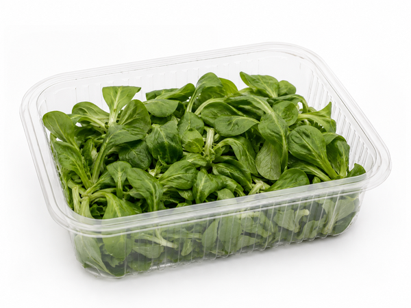 Bio Feldsalat 100g