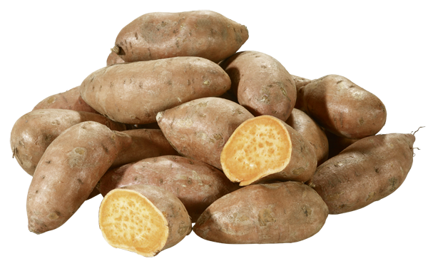Bio Süßkartoffeln 500g