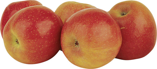 Bio demeter Apfel Holsteiner Cox 600g
