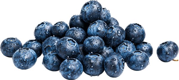 Bio Heidelbeeren 125g